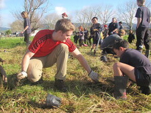 Community & Engagement