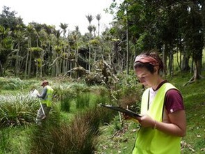 Monitoring & Research